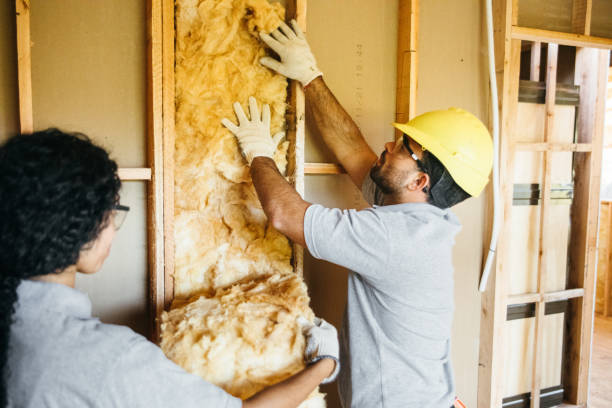 Insulation Repair Services in Lincoln, IL