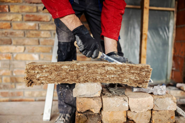 Best Insulation Contractor Near Me  in Lincoln, IL