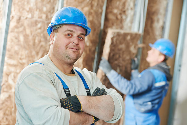 Best Home Insulation Services  in Lincoln, IL