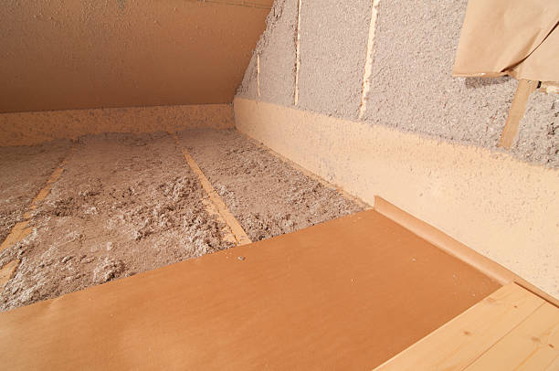 Best Insulation Inspection Services  in Lincoln, IL